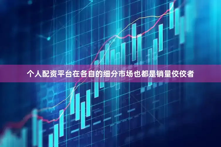 个人配资平台在各自的细分市场也都是销量佼佼者