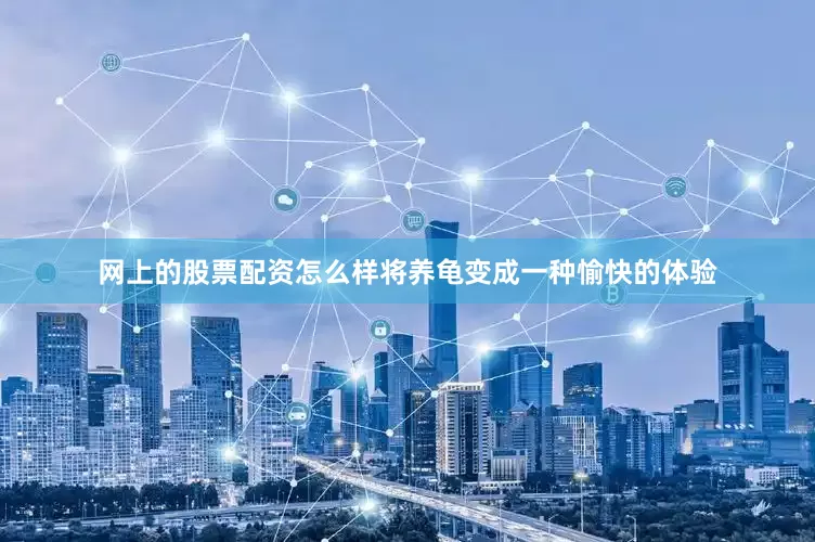 网上的股票配资怎么样将养龟变成一种愉快的体验
