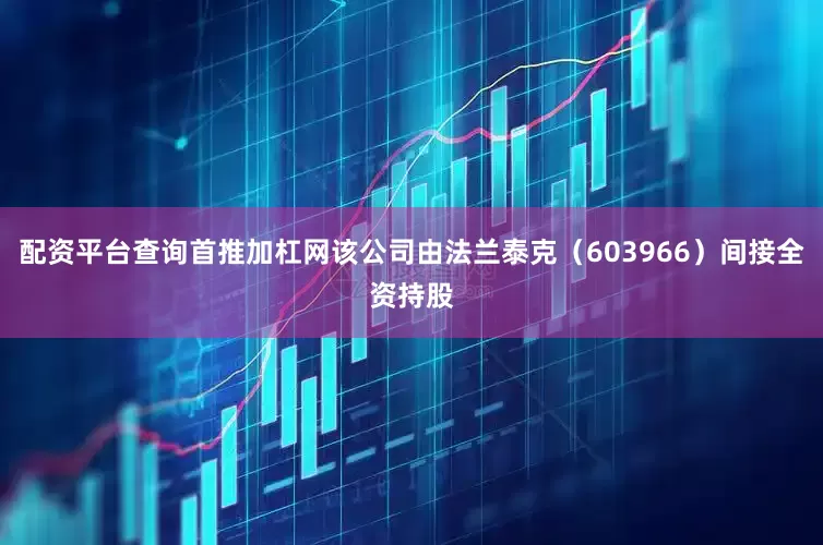 配资平台查询首推加杠网该公司由法兰泰克（603966）间接全资持股