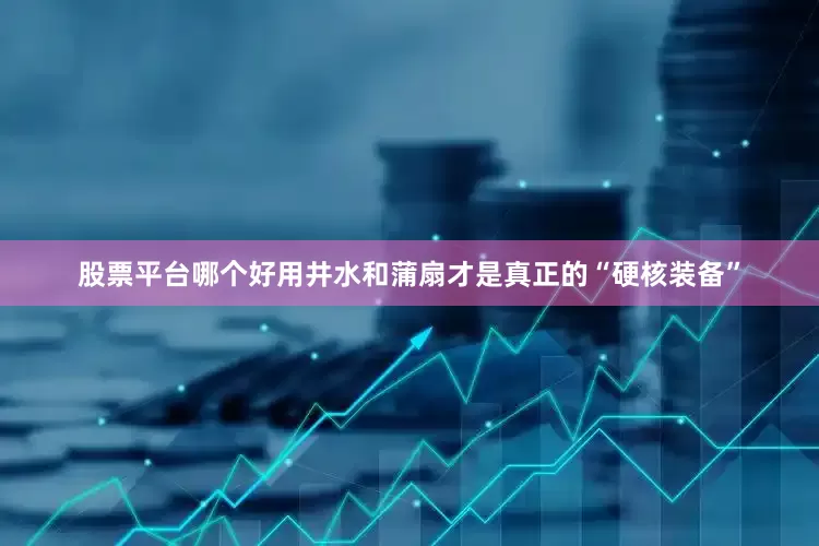 股票平台哪个好用井水和蒲扇才是真正的“硬核装备”